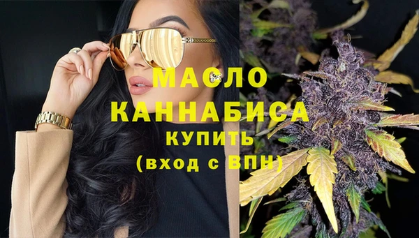 гидра Елабуга