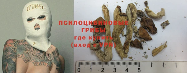 таблы Ельня