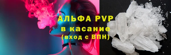 гидра Елабуга