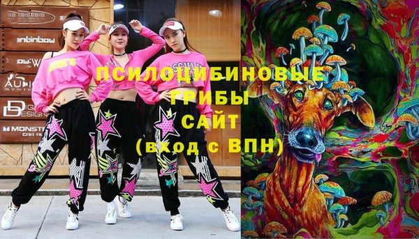 таблы Ельня